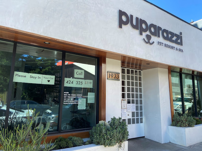 Puparazzi