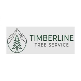 Timberline Tree Service Madera