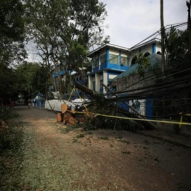 Bountiful Tree Removal