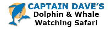 Captain Dave’s Dolphin & Whale Watching Safari