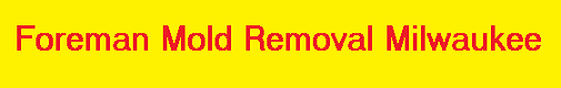 Foreman Mold Removal Milwaukee