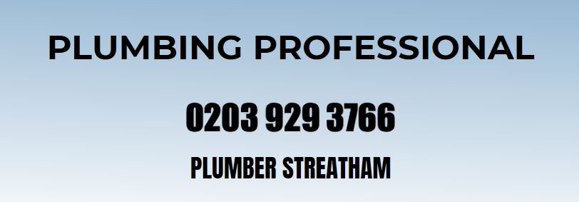 Plumbing Professional