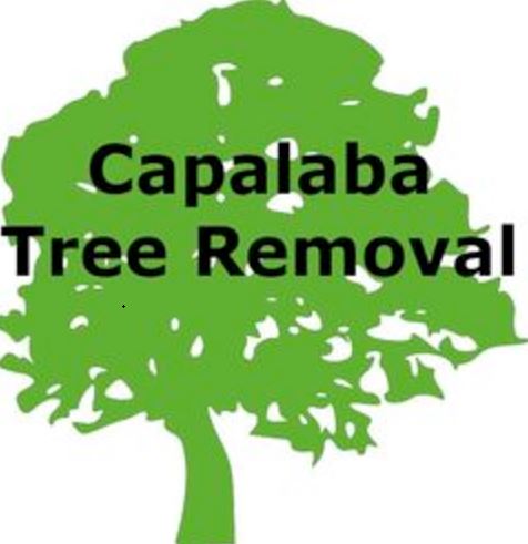 Tree Lopping Brisbane Southside
