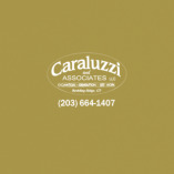 Caraluzzi And Associates, LLC Caraluzzi And Associates, LLC