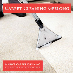 carpetcleaninggeelong