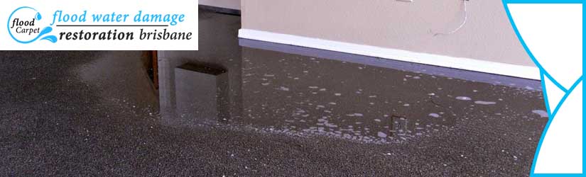 Emergency Carpet Water Damage Restoration Brisbane