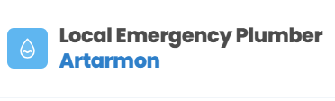 Local Emergency Plumber Artarmon