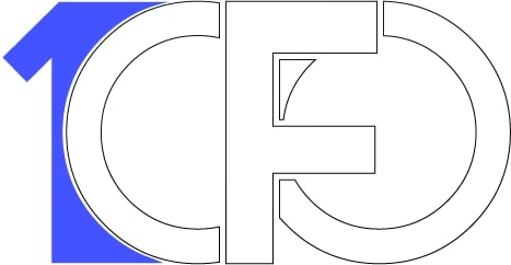 1 CFO - Fractional Chief Financial Officer Consulting