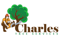 Tree Removal North Sydney - Charles Tree Services