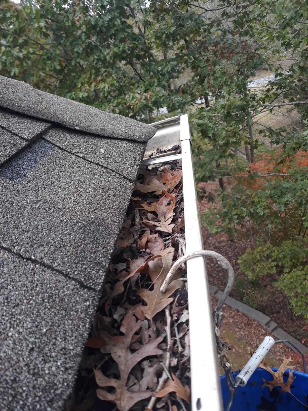 Clean Pro Gutter Cleaning Charlotte