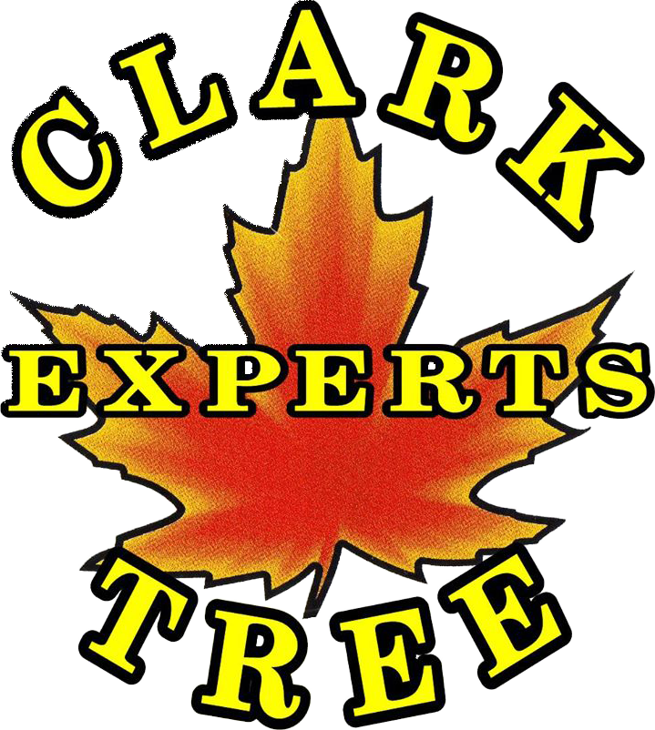 ClarkTreeExperts
