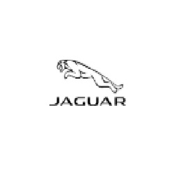 Parramatta Jaguar
