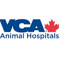 Toronto Veterinary Emergency Hospital