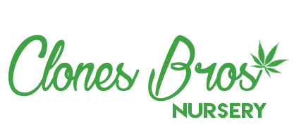 Clones Bros Nursery