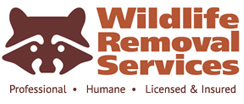 Wildlife Removal Services