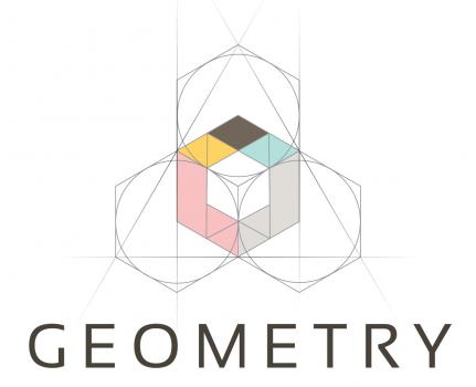 Geometry Integrated Health