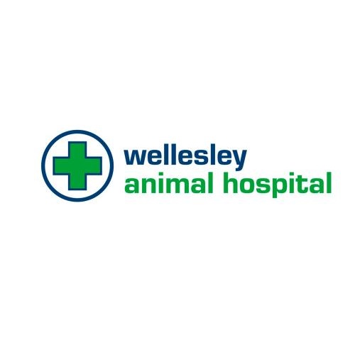 Wellesley Animal Hospital