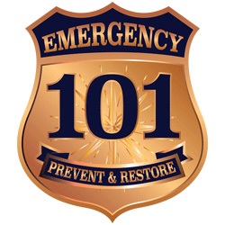 Emergency101
