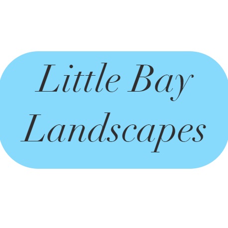 Little Bay Landscapes