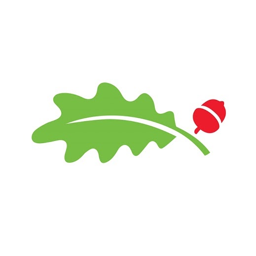 League City Pediatrics