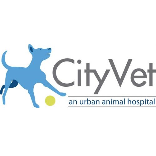 CityVet, an urban animal hospital