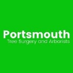 Portsmouth Tree Surgeon