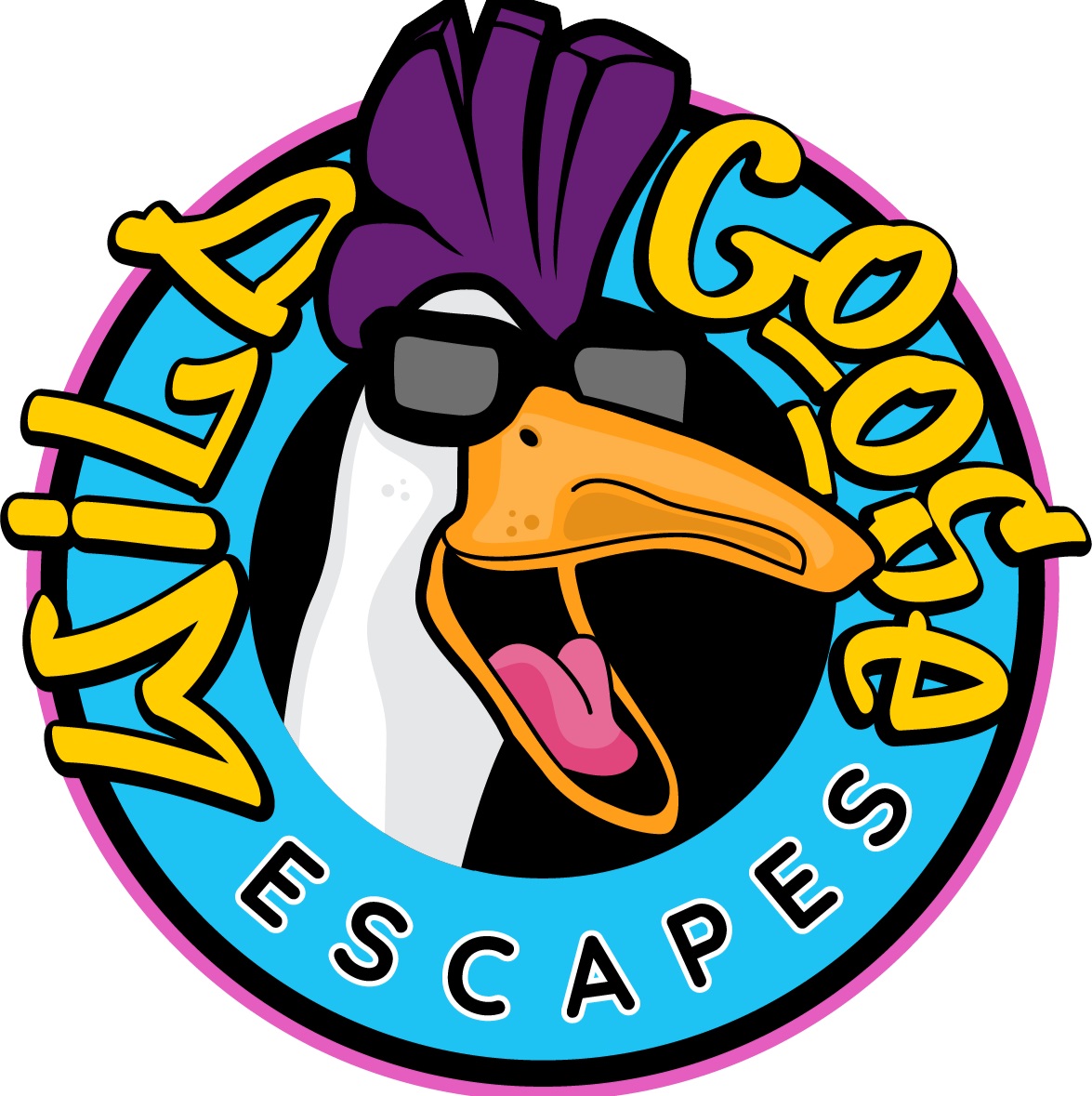 Wild Goose Escape Rooms