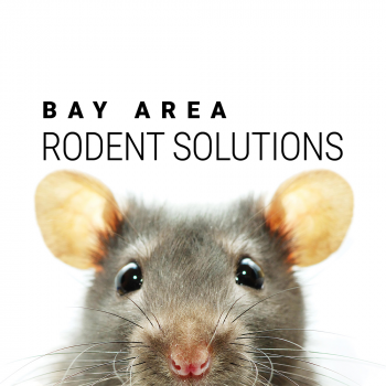 Bay Area Rodent Solutions