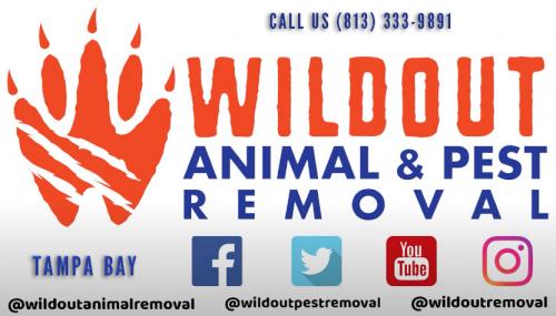 Wildout Animal & Pest Removal Tampa