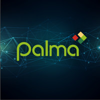 Palma Financial Services, Inc.