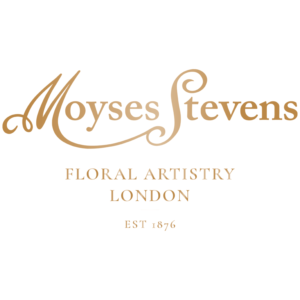 Moyses Stevens Flowers