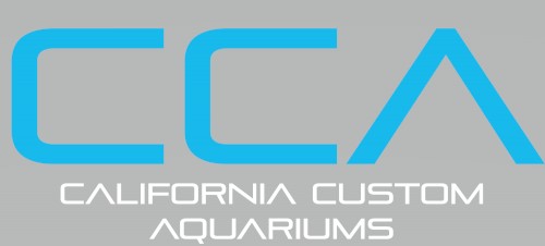 California Custom Aquariums