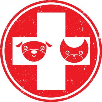 Elite Veterinary Care