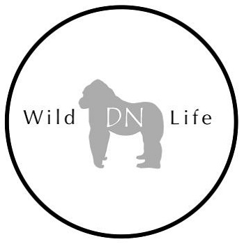 Derek Nielsen Photography