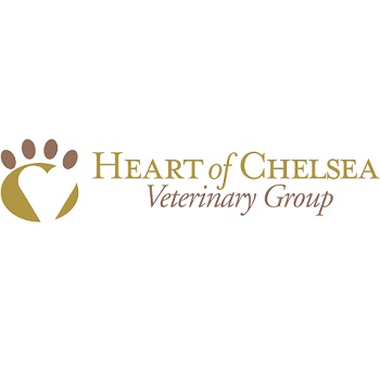 Heart of Chelsea Veterinary Group - Chelsea
