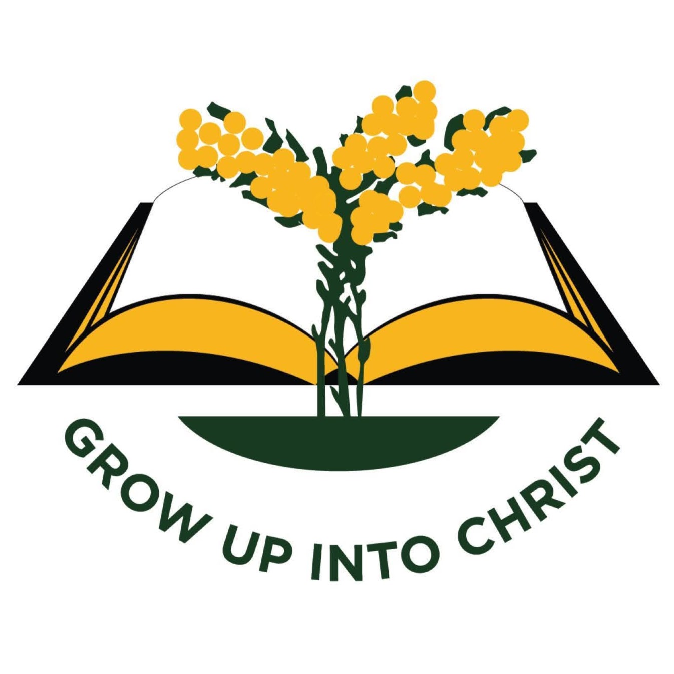 Regents Park Christian School