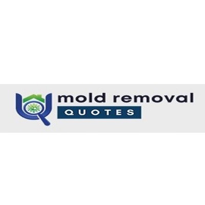 Amarillo Mold Removal Pros