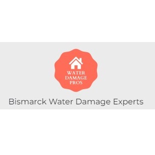 Bismarck Water Damage Experts