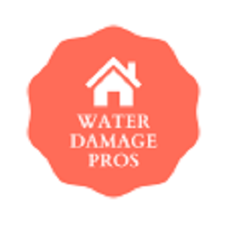 H-Town Pro Water Damage