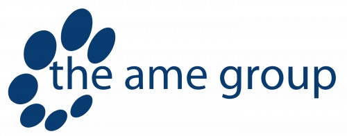 The AME Group