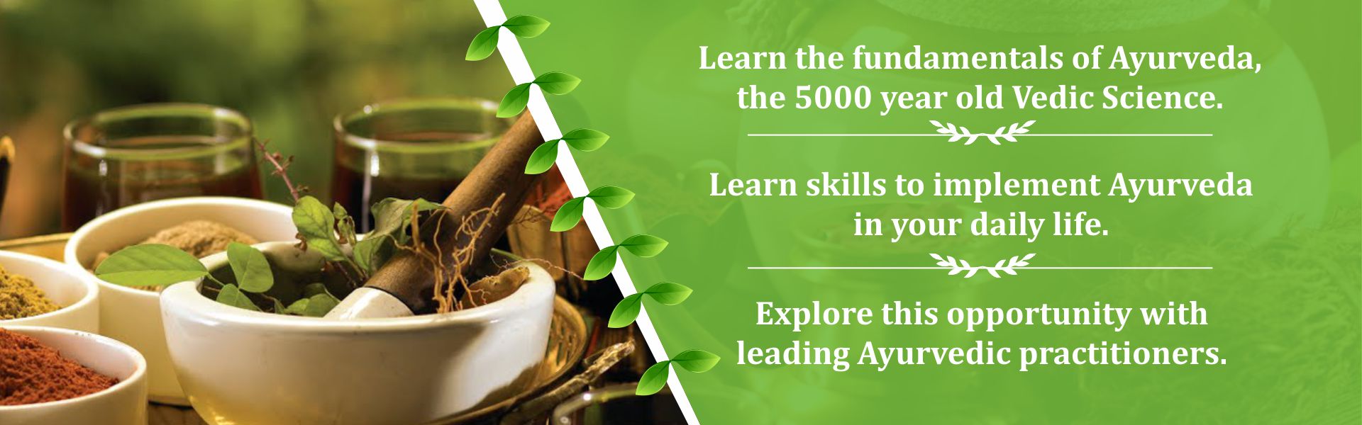 Nature Care Ayurveda