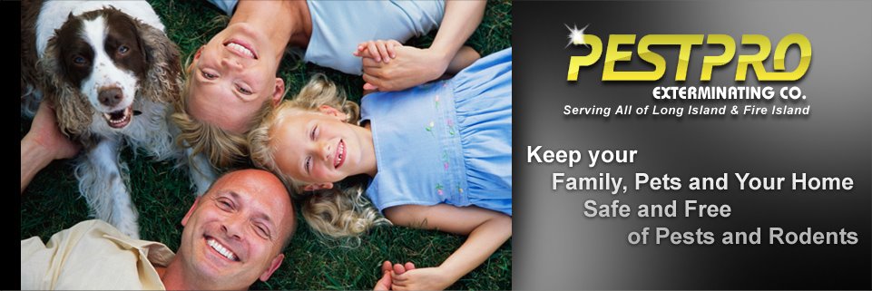 Pest Pro Exterminating