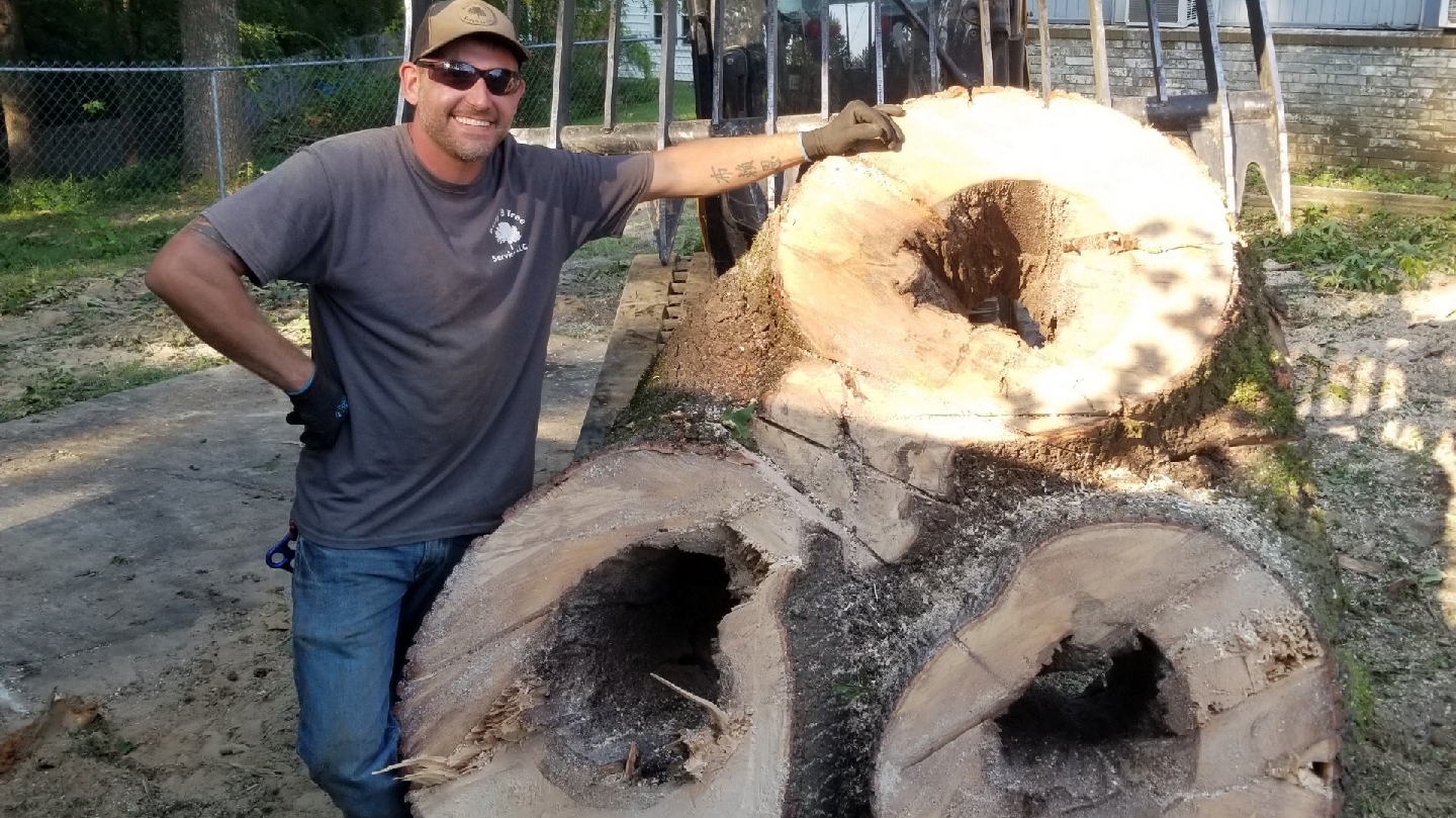 Busy B Tree Services