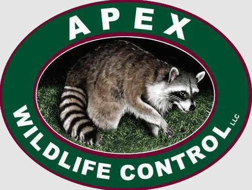 Apex Wildlife Control LLC.