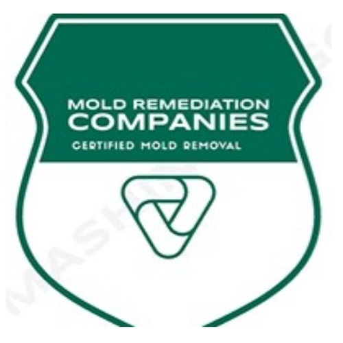 Bartlett Mold Remediation Pros