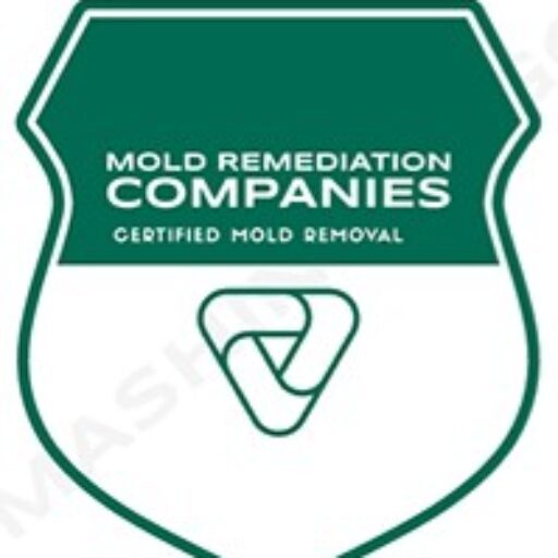 Grapevine Mold Remediation Pros