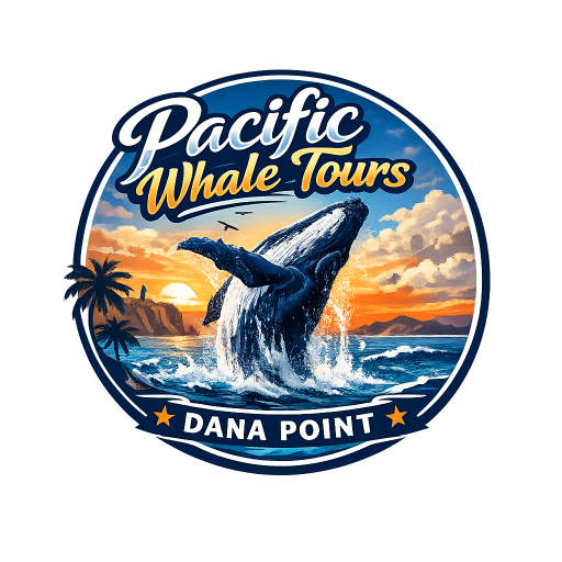 Pacific Whale Tours Dana Point