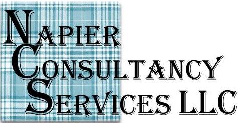 Napier Consulting Services