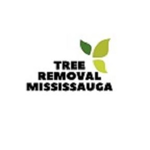 Tree Removal Mississauga