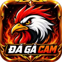ĐÁ GÀ CAM